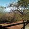 Hazyview Buffalo Game Lodge - 雾观