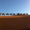 Sahara Desert Camp - Adrouine