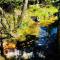 Aldgate Creek Cottage