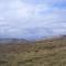 Meadowfield