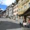 Refugi Blegl - Alpine Apartment in Disentis