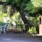 Apartment Drace 4550a