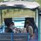houseboat kelotok bee