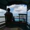 houseboat kelotok bee