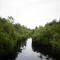 houseboat kelotok bee