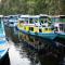 houseboat kelotok bee