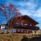 Chalet Elisabeth
