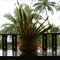 Kannur Beach view Homestay