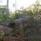 Leopard Tree Retreat