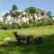 Detached villa in a beautiful area - La Croix-Blanche