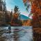Cowichan River Lodge