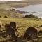 Kangaroo Island Seafront - Penneshaw