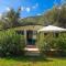 MASLINICA Oliva Camping