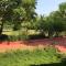 Baaz Jungle Resort
