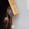 Tribu EcoHostal