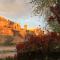 The Canyon Wren