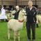 Silverstream Alpaca Farmstay & Tour - Kaiapoi