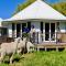 Silverstream Alpaca Farmstay & Tour - Kaiapoi