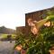 roon Lodges#KOLM