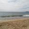 Bosque Playa Lomas de Papudo 3