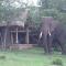 Queen Elizabeth Bush Lodge by NATURE LODGES LTD - Bushenyi