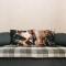 Apartmens Faraon Centr 6 floor - Sumy