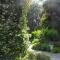 Cuore Verde