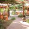 Alba Family Club Hotel