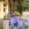 Suites Brilho do Sol