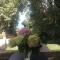 Vergopoulos Oliveyard