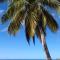 Palm View - Laborie