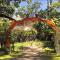 Madre Selva Hostel - Puerto Viejo