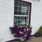 Anam Cara B&B - Cork