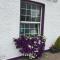 Anam Cara B&B - Cork