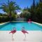 Villa Flamingos Marbella