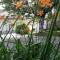 Gospic Riverside Apartment