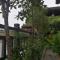 372 Jingjing Home
