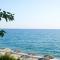 Hotel Alkyonis