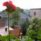 Cappone B&B - Morciano di Romagna