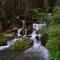Apart Waldblick
