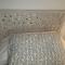 Apartamento Pirineo Aragonés