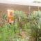 Belvedere Game Ranch - Magudu