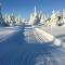 Two-Bedroom Holiday Home In Sjusjoen
