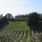 Modderkloof Farm Accommodation Modderkloof Farm Accommodation