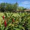 Hotel Campestre Arboretto - Villavicencio