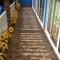 Lanta Blue House