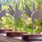 St. Lucia Wetlands Guest House