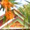 Arcadia Phu Quoc Resort