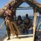 Belo Vula Island Resort Pte Limited
