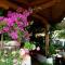 Arkadia Guest House